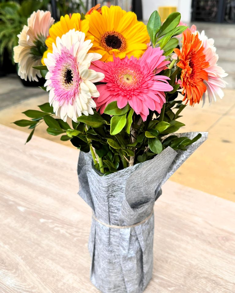 Gerberas-Forest1