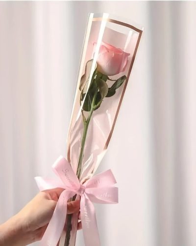 Free Single Premium Pastel Rose