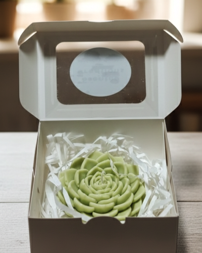 Local Hand-Poured Succulent Scented Candle in Box