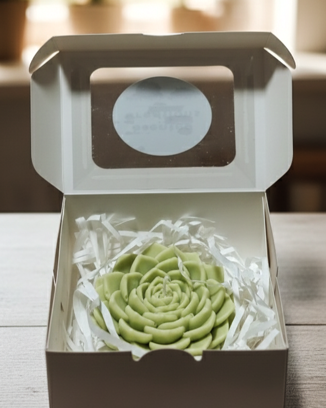 Succulent Serenity Scented Candle in Box