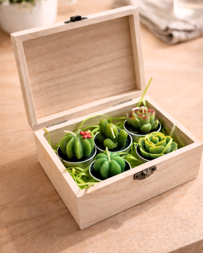 Handmade Succulent Candles in Wooden Box