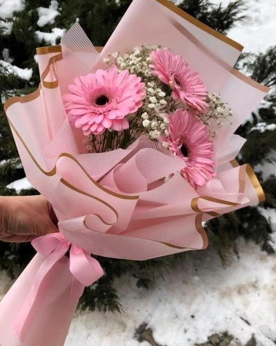 Blush Petals Gerberas Bouquet